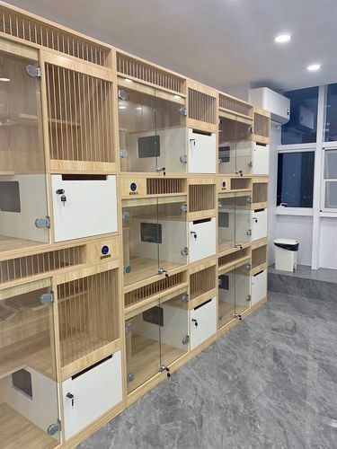 这家洗猫店是赚不到我钱了