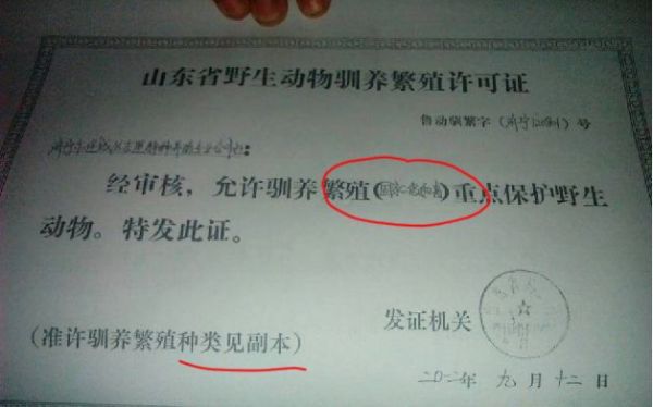 山东省2012年颁发的野生动物驯养繁殖许可证。受访者供图