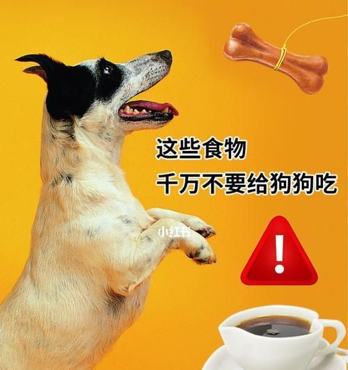 狗狗需要什么样的食物？（探究宠物狗饮食的选择和营养需求，保障它们的健康成长）