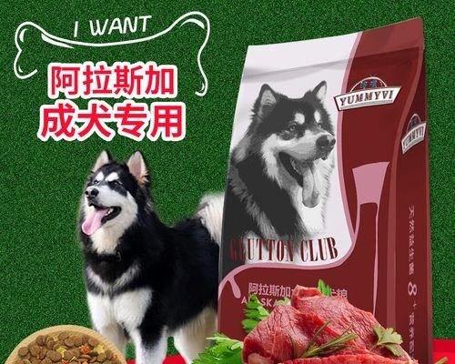 狗狗需要什么样的食物？（探究宠物狗饮食的选择和营养需求，保障它们的健康成长）