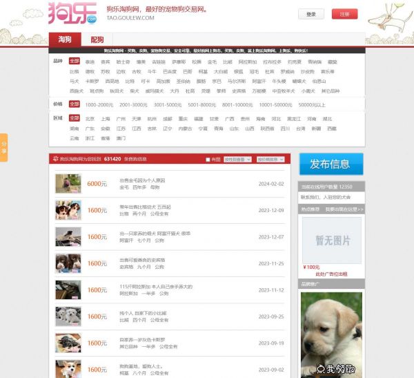 狗乐淘狗网 – 买狗_卖狗_最好的宠物狗交易网 – 狗乐网