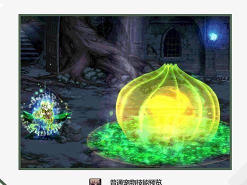 DNF: 至尊宠物, 神选之英杰, 2019春节套你准备好了吗?