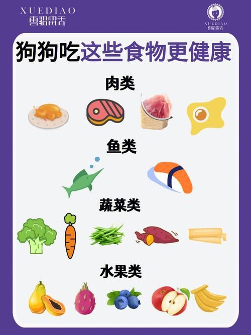 狗狗辅食食材推荐大全图解,狗狗辅食食材推荐大全图解视频