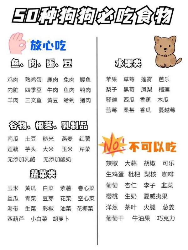 狗狗辅食食材推荐大全图解,狗狗辅食食材推荐大全图解视频