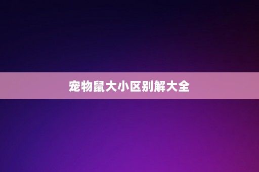 宠物鼠大小区别解大全-第1张图片-一起学知识网