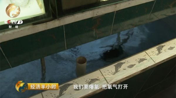 渔场师傅向记者介绍“定水”过程