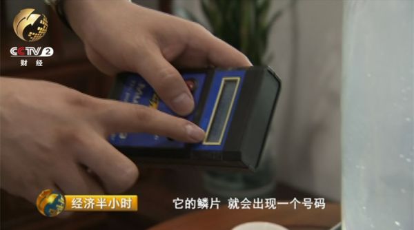在每条龙鱼的身上，都藏着一个特殊的芯片，代表着它的身份。