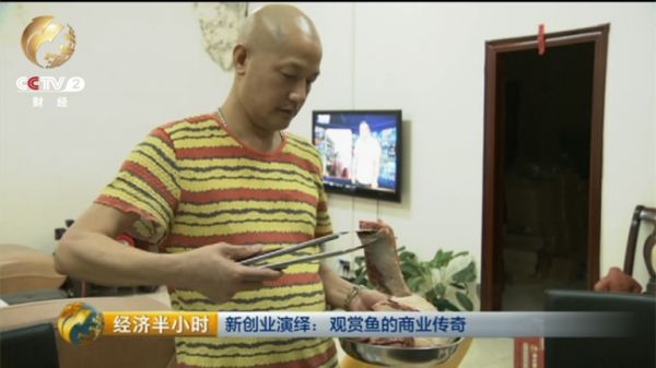 没有进入养鱼行当之前，李润林曾是深圳一家酒楼的西餐大厨，由于喜欢养鱼，后来索性养鱼创业。