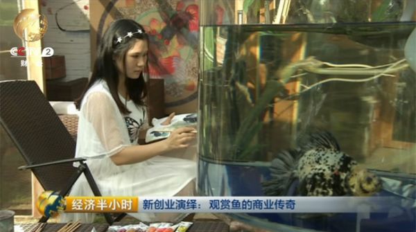 陈镇平迅速找到了一直画金鱼的陈燕妮，俩人开始了跨界合作。