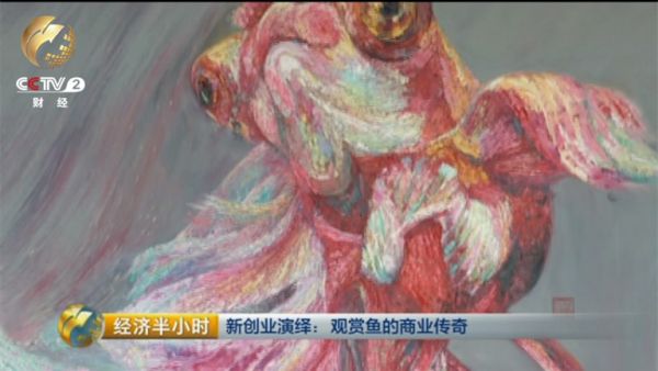 现在在陈镇平心目中，金鱼不但是生意，更是文化。