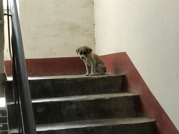 宝宝养不起啦