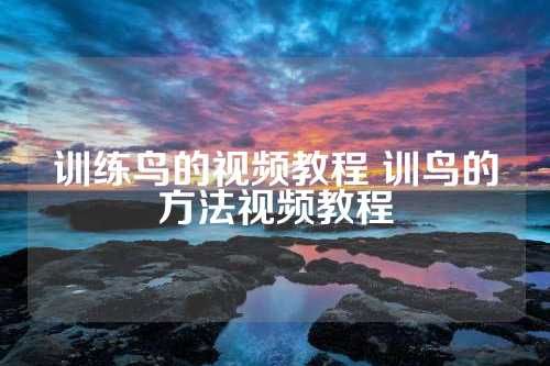 训练鸟的视频教程 训鸟的方法视频教程 第1张