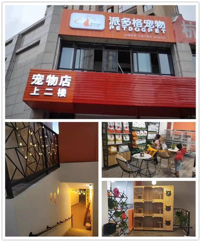### 保山宠物店一天能赚多少钱?揭秘宠物经济下的创业机遇与丰厚回报