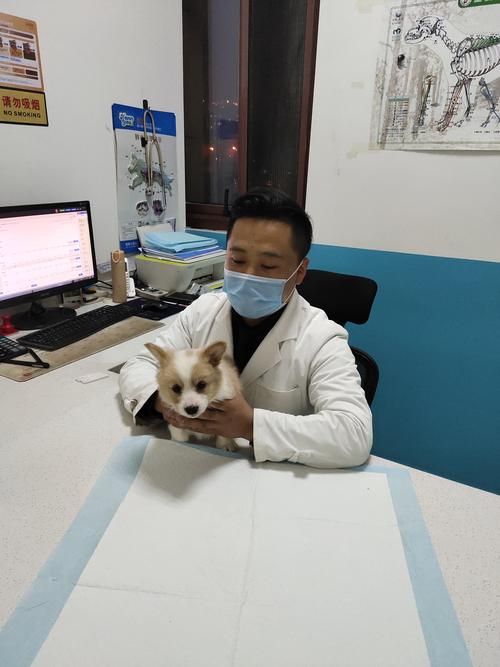 ### 两个人的宠物医院,一年挣多少钱?揭秘宠物医疗行业的黄金创业机遇!