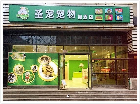 拼多多宠物店一个月可以赚多少钱?揭秘月入万元的创业秘籍与无限商机!
