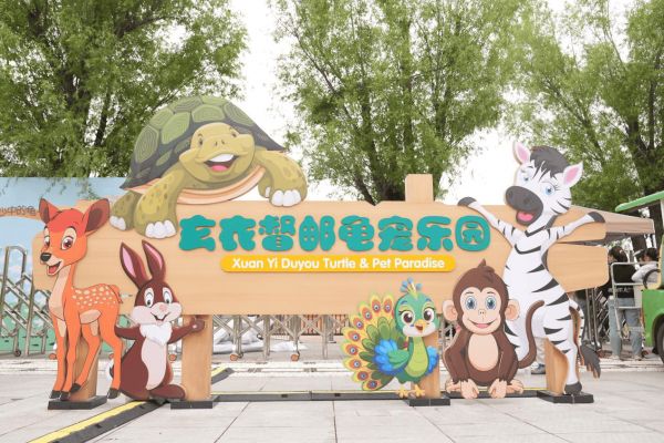 小乌龟萌宠乐园图片