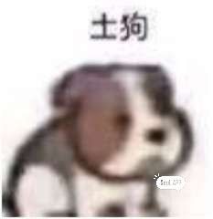 ‘警长’宠物首次登场!截图