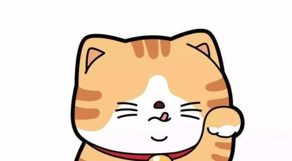 快来看看，橘猫有什么性格特点？