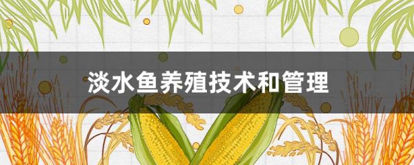 淡水鱼养殖技术和管理