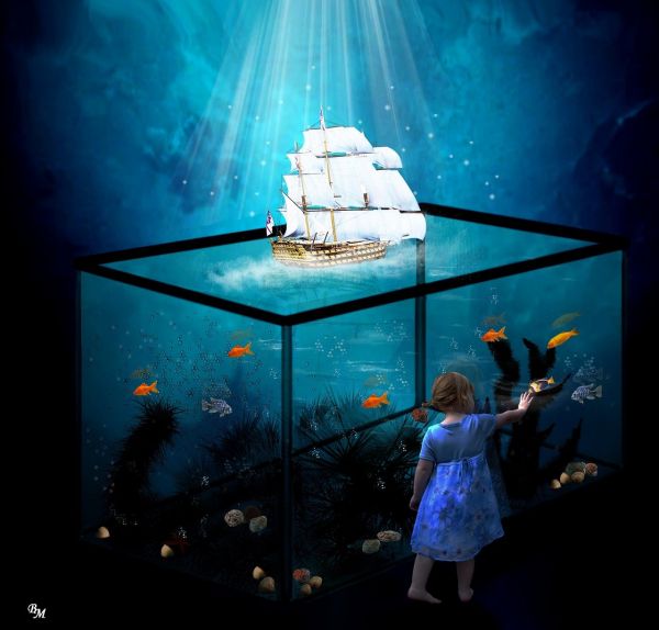 黄冈水族馆到家第三天 白化巴西龟（白巴） 第2张