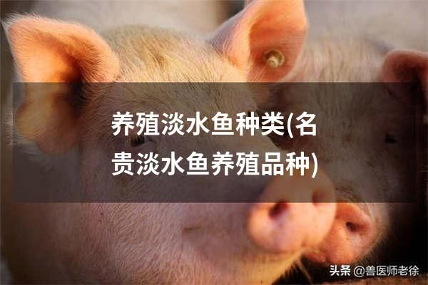 养殖淡水鱼种类(名贵淡水鱼养殖品种)