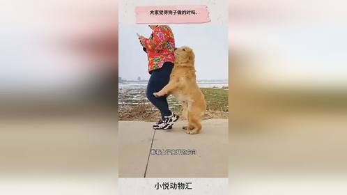 大家觉得狗子做的对吗.