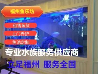 店主头像
