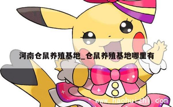 河南仓鼠养殖基地_仓鼠养殖基地哪里有 第1张