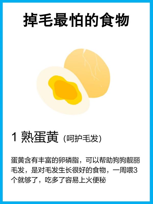 狗狗掉毛必吃的6种食物！建议收藏。#狗狗饮食#新手养狗#狗狗日常#养狗经验分享#狗狗掉毛