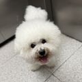 https://p0.meituan.net/userheadpicbackend/9e6c0dd93c5a2460b4978c7d7e3219d8904485.jpg%40120w_120h_1e_1c_1l%7Cwatermark%3D0