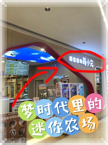 周末再也不用跑老远去摸动物了！梦时代里一站搞定！