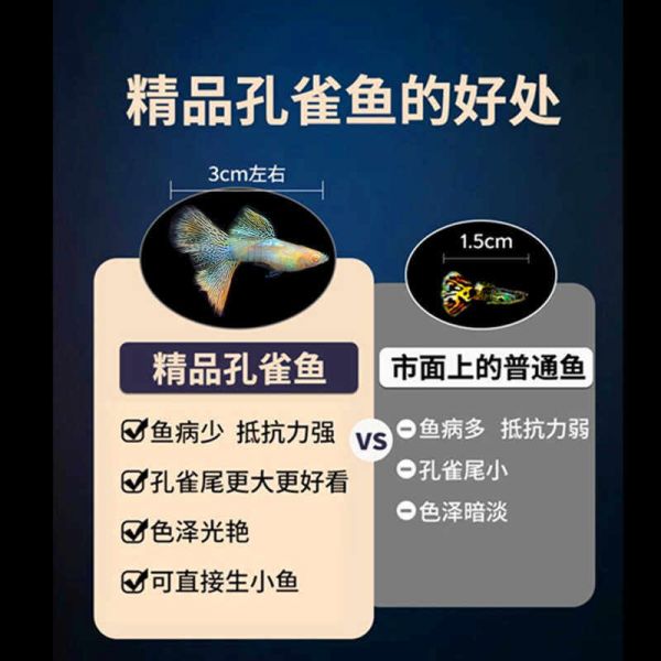 -图3