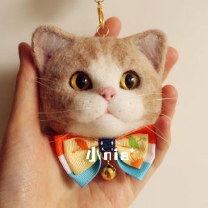 如何训练猫咪？插图5