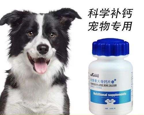 小狗多大可以吃猪骨（营养丰富的骨头食品）