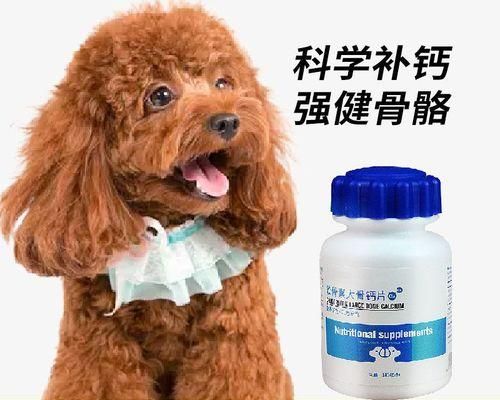 小狗多大可以吃猪骨（营养丰富的骨头食品）