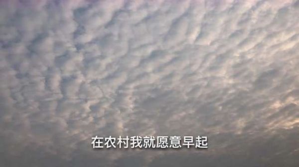 周末回河南焦作农村老家,感叹家乡真的太美了,你们觉得呢