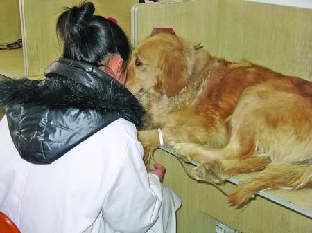 爱犬难产生个小狗花了三千元