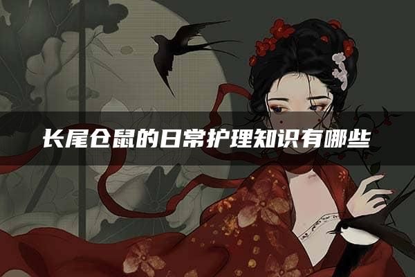 长尾仓鼠的日常护理知识有哪些