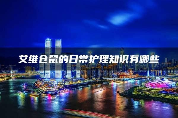 艾维仓鼠的日常护理知识有哪些