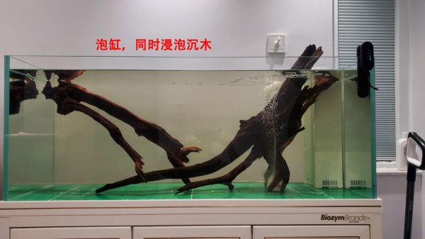 新手鱼缸开缸养水教程，5 个步骤简单搞定