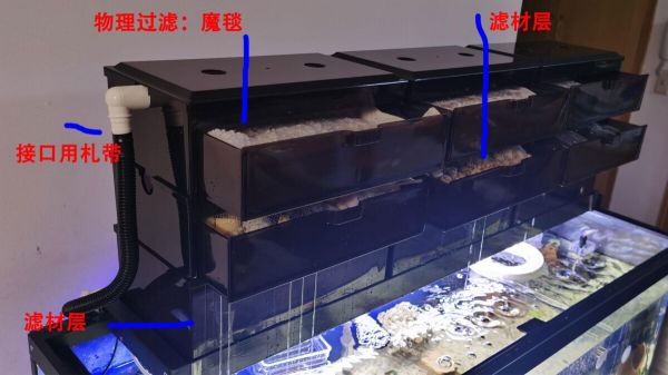 新手鱼缸开缸养水教程，5 个步骤简单搞定