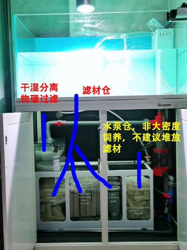 新手鱼缸开缸养水教程，5 个步骤简单搞定