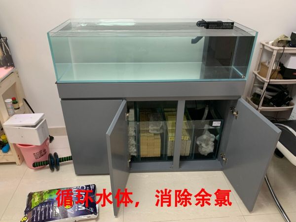 新手鱼缸开缸养水教程，5 个步骤简单搞定
