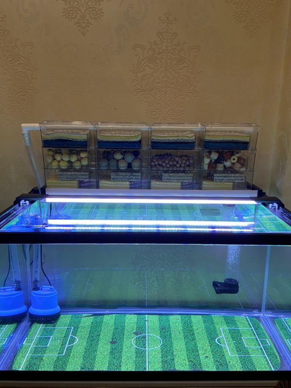 新手鱼缸开缸养水教程，5 个步骤简单搞定