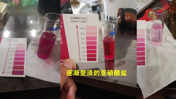 新手鱼缸开缸养水教程，5 个步骤简单搞定