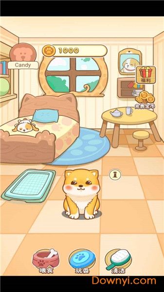 狗狗乐园游戏
