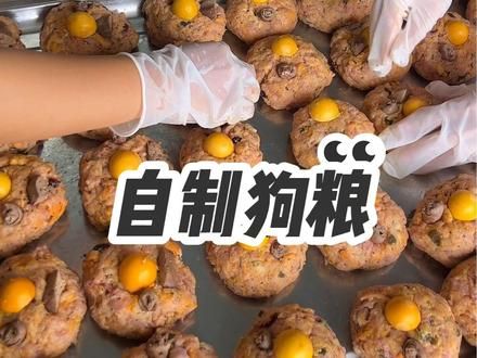 自制一个月的狗粮 狗子这么吃，能不圆滚光滑嘛？#自制狗粮#金毛 #金宝
