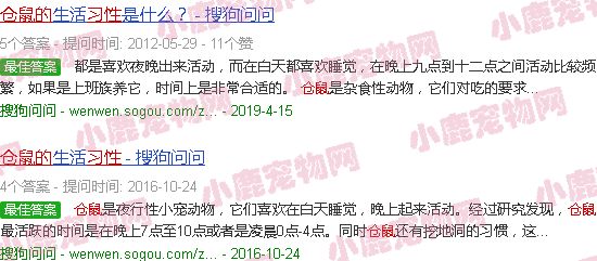 仓鼠的习性