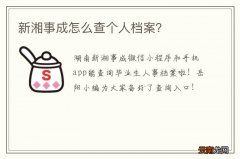 新湘事成怎么查个人档案？