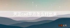 cad中平方怎么打出来 天正cad平方怎么打出来